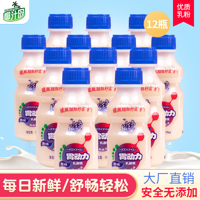 椰芝岛 胃动力338mlx12瓶 乳酸菌风味饮品牛奶酸奶