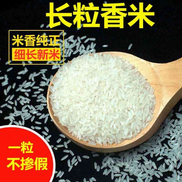 丝苗大米 长粒香大米  南方籼大米 一级新大米