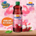 Sunquick/新的浓缩荔枝玫瑰果汁840ML 混合果蔬汁